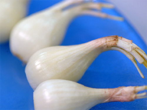 Rakkyo, la variedad asiática de la cebolla