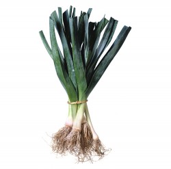 Calçots