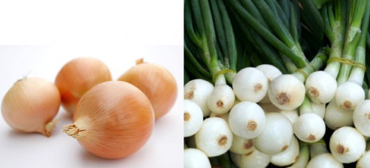 Cebolla de grano y Cebolleta fresca.